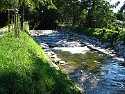 Fischaufstieg am Neumagen