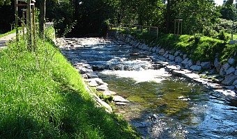 Der Fischaufstieg am Neumagen nach Fertigstellung und Bepflanzung. 