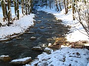 Zwei Fischaufstiege an der Rench in Bad Peterstal 