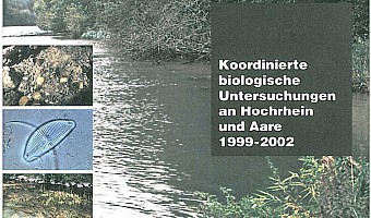 Zusammenfassender Kurzbericht