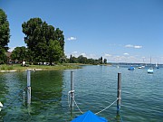 Seeuferrenaturierung